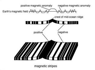 Magnetic stripes